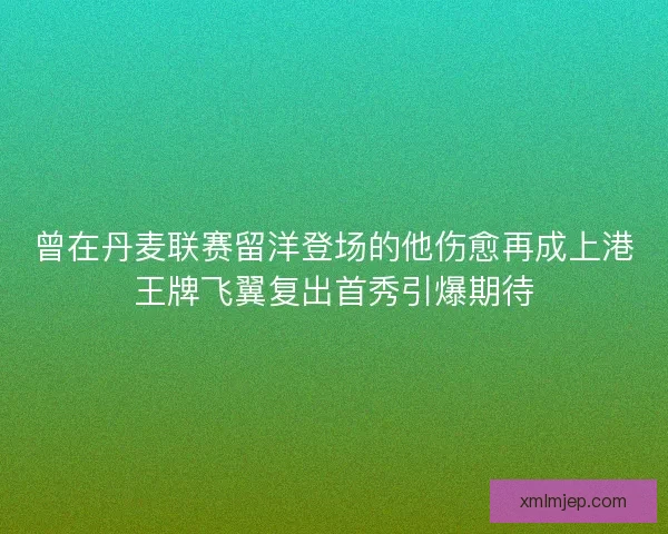 曾在丹麦联赛留洋登场的他伤愈再成上港王牌飞翼复出首秀引爆期待